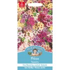 Phlox Tapestry